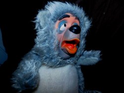 disney bear side